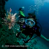 Lionfish & Diver